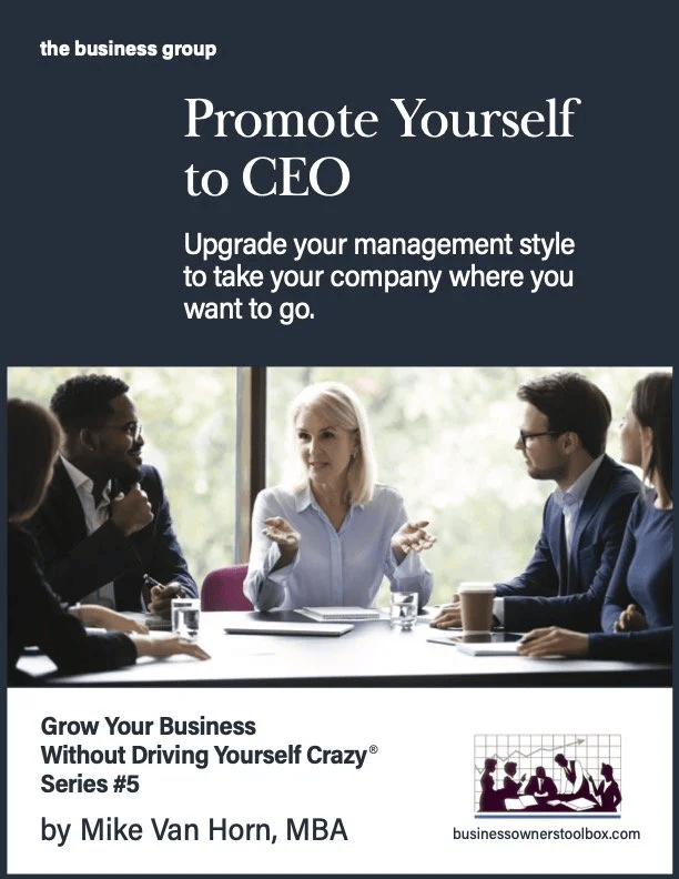 Promote Yourself to CEO